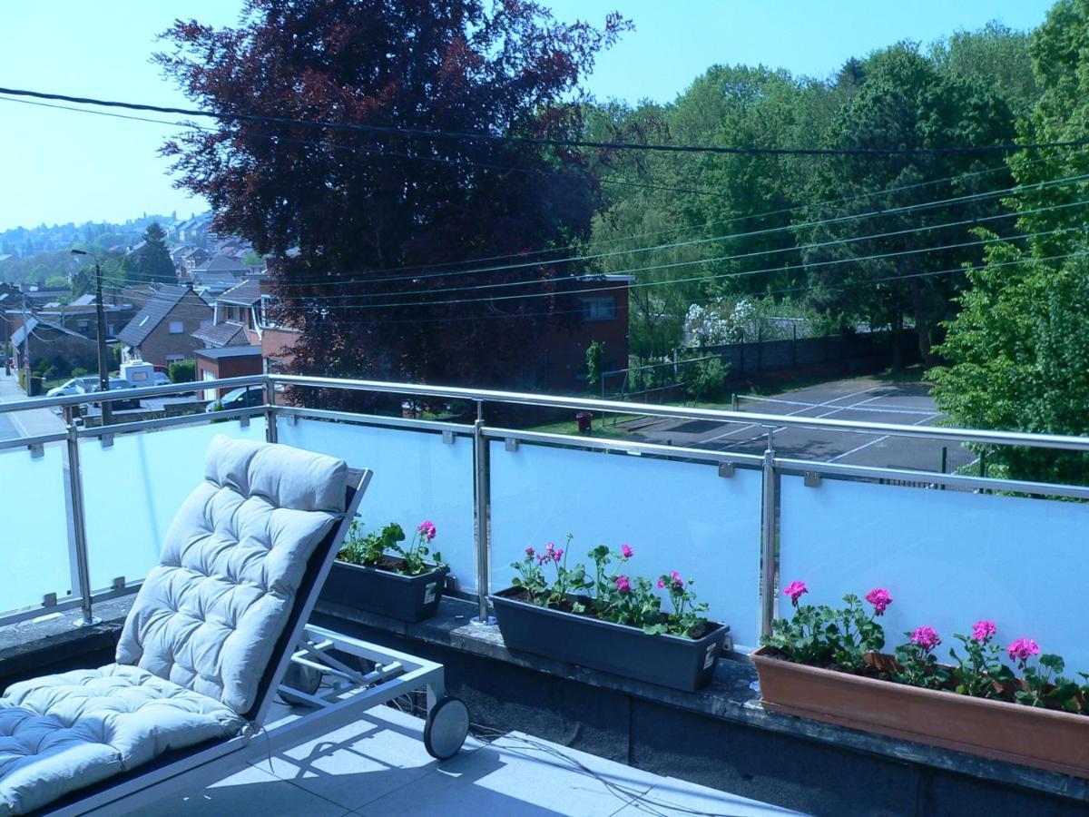 Liege 4420 Rue Jean Jaures 45 Grande Maison Joyeuse Avec Terrasse 30M2 Pour 8 Personnes Maximum Saint-Nicolas  Εξωτερικό φωτογραφία